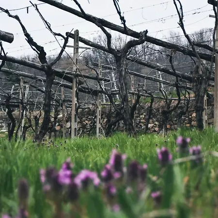 Pensjonat Vicolo One *