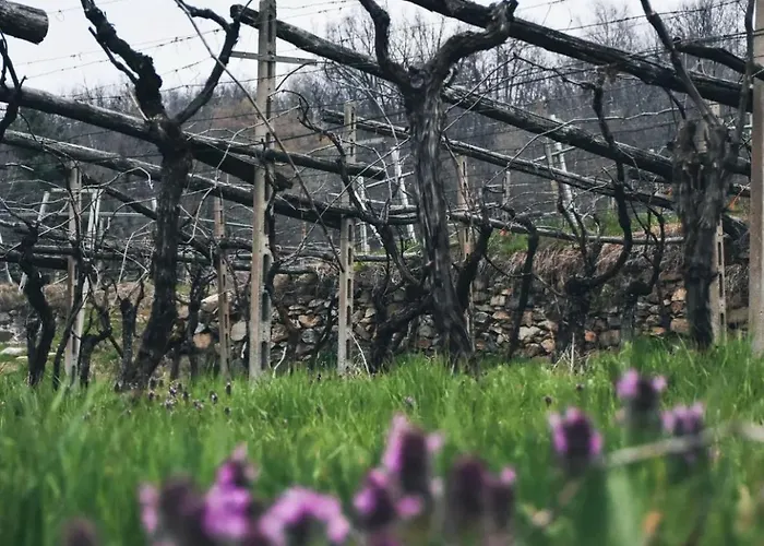 Pensión Vicolo One *